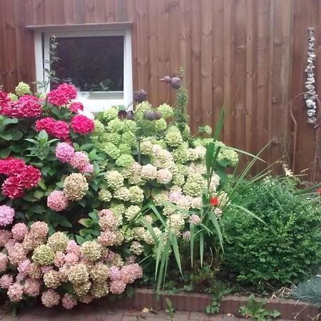 1 Raum Appartement Mit Kuechenzeile In Kappeln Zewnętrze zdjęcie