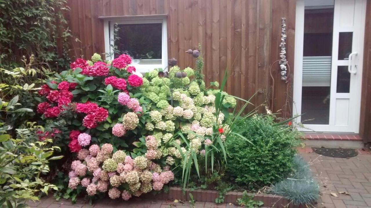 1 Raum Appartement Mit Kuechenzeile In Kappeln Zewnętrze zdjęcie